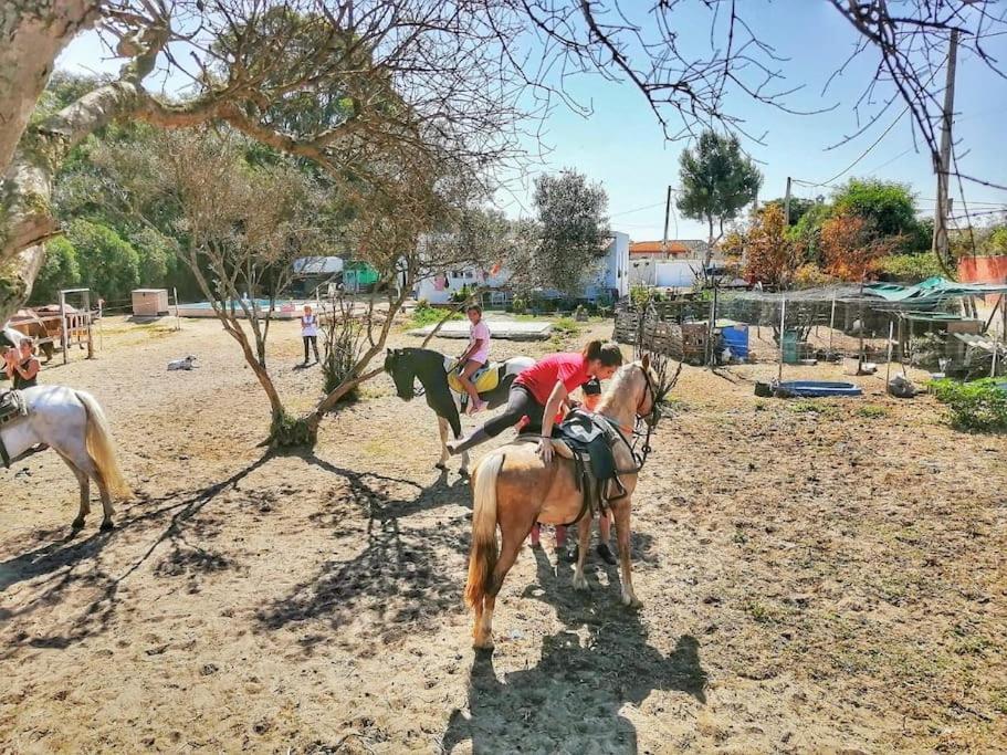 Granja America Appartamento Chiclana de la Frontera Esterno foto