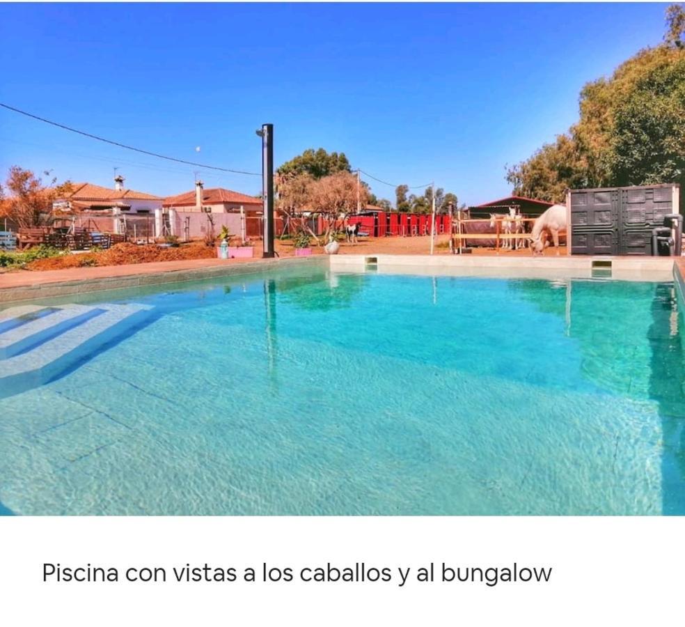 Granja America Appartamento Chiclana de la Frontera Esterno foto